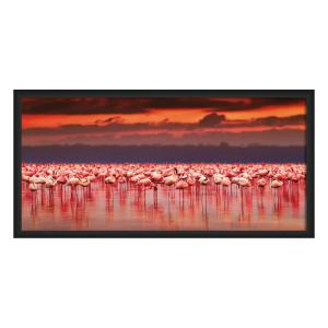 CUADRO MARCO PVC 125 X 62 CM. FLAMINGOS AFRICANOS